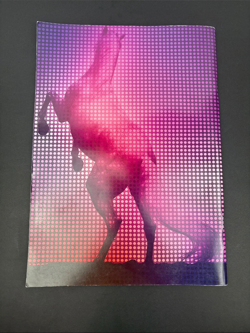 Madonna Confessions Tour Program Book 2006 Complete Stickers Posters - Picture 3 of 11